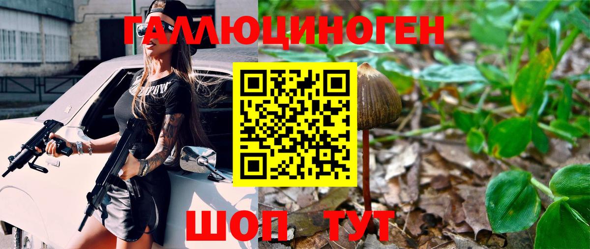 Галлюциногенные грибы Psilocybine cubensis  Вход с VPN  Кушва 